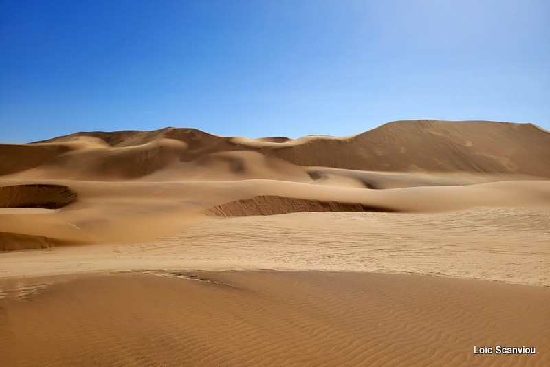 Désert du Namib/Namib Desert (6)