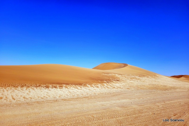 Désert du Namib/Namib Desert (5)