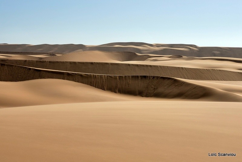 Désert du Namib/Namib Desert (4)