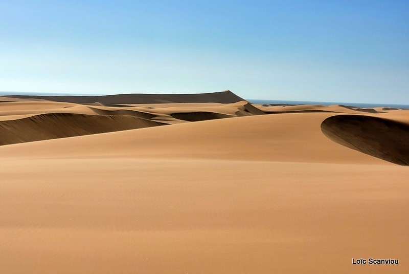 Désert du Namib/Namib Desert (3)