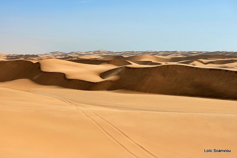 Désert du Namib/Namib Desert (2)