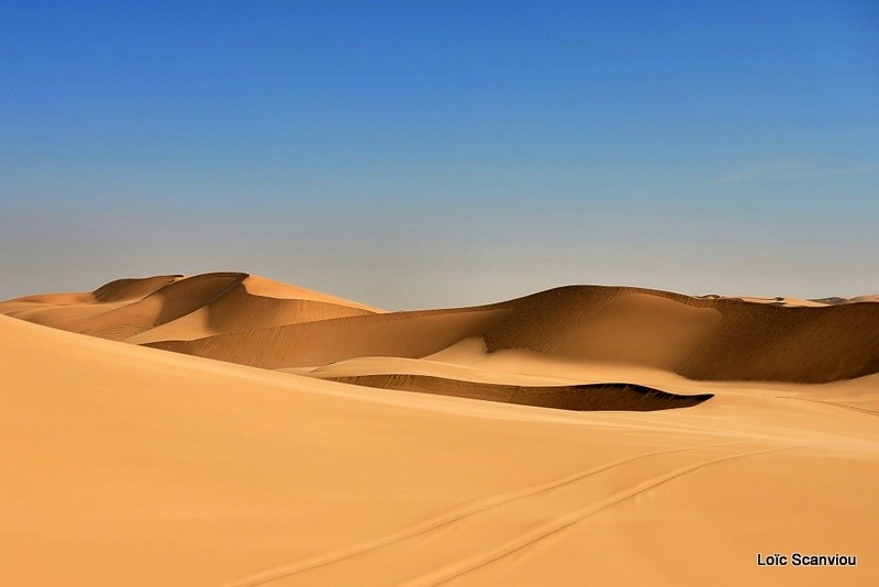 Désert du Namib/Namib Desert (1)