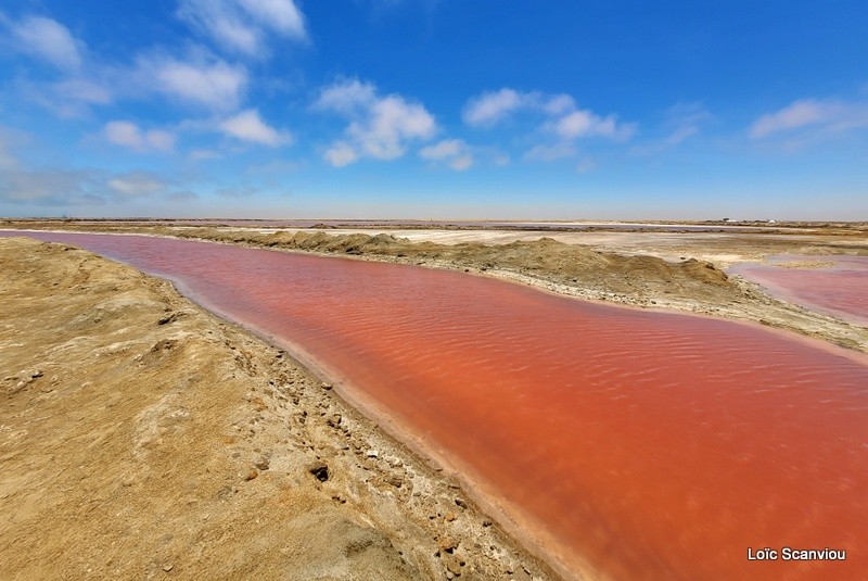 Marais salants à Walvis Bay