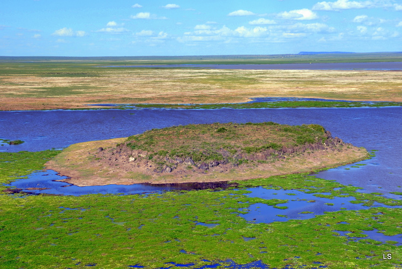 Amboseli (11)