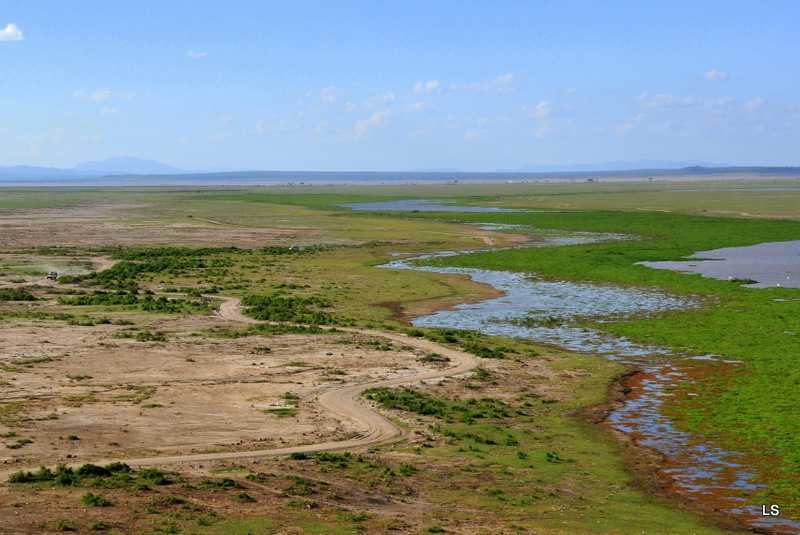 Amboseli (12)