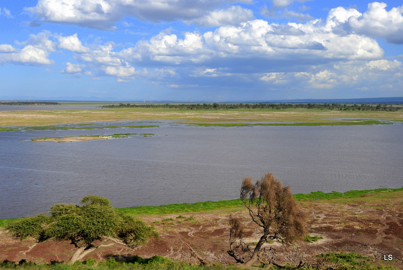 Amboseli (13)