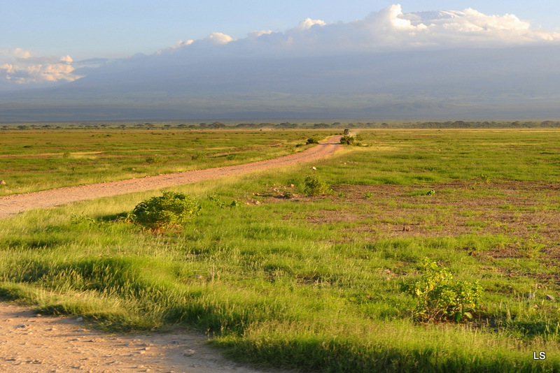 Amboseli (4)