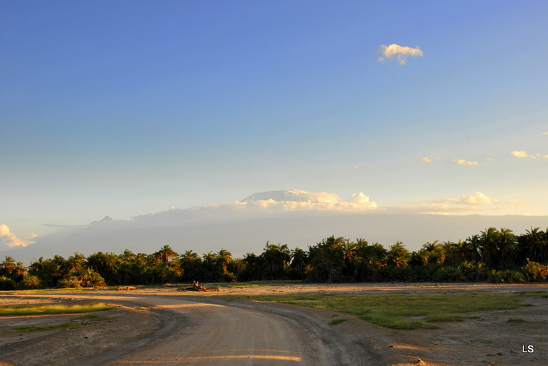 Amboseli (6)