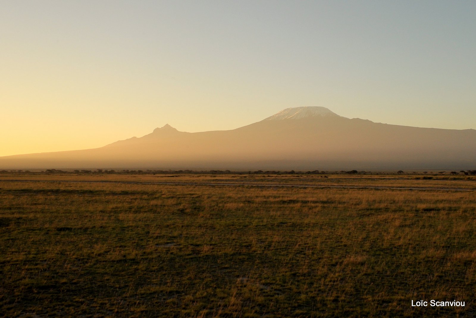 Amboseli (6)