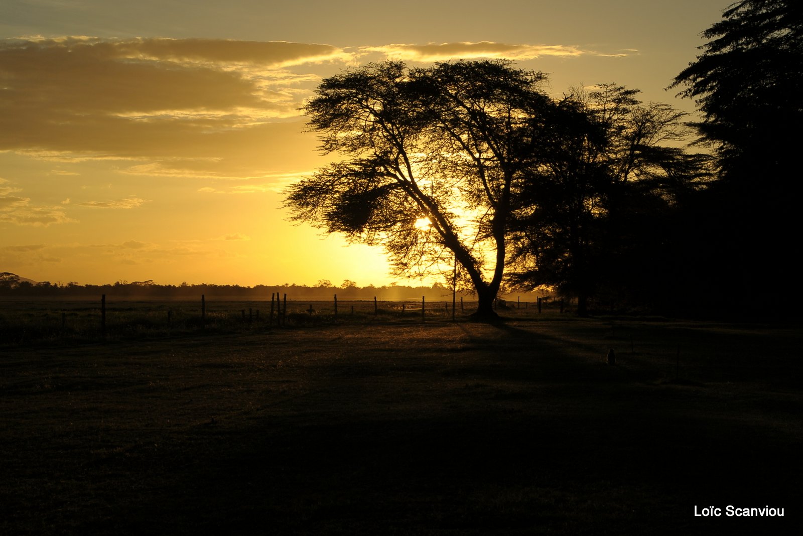 Amboseli (3)