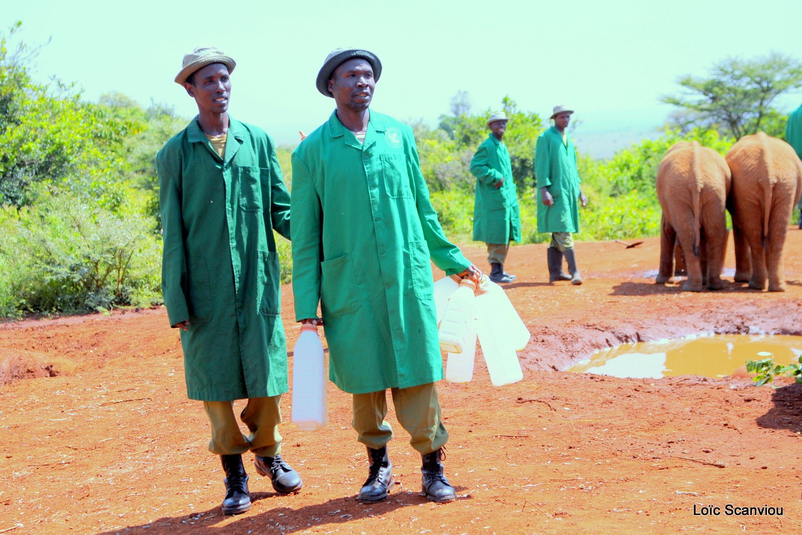 David Sheldrick Wildlife Trust  (11)