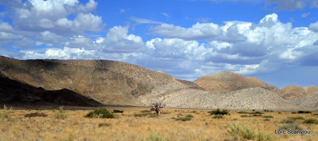 Immensité (4)