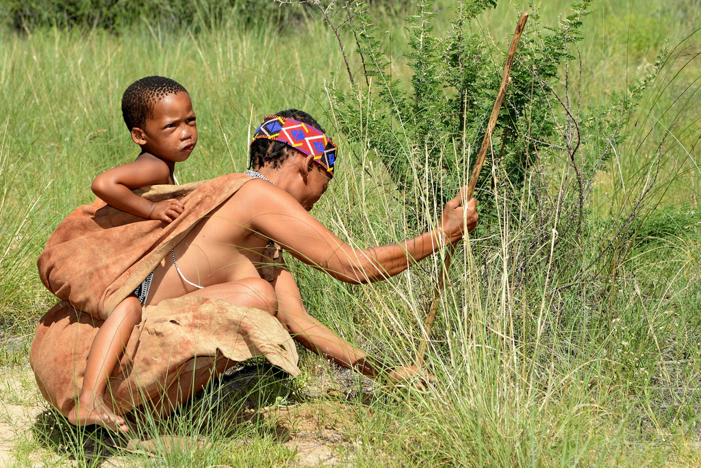 Bushmen (7)