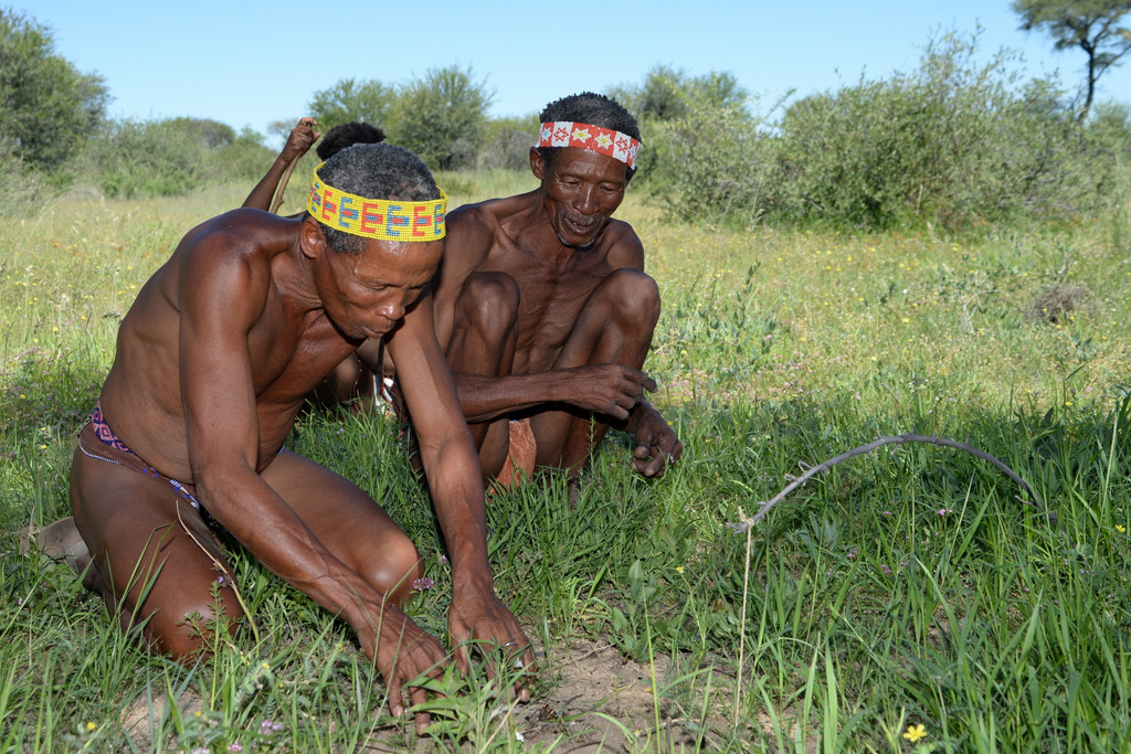 Bushmen (24)