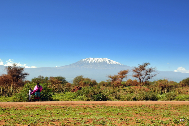 Kilimanjaro