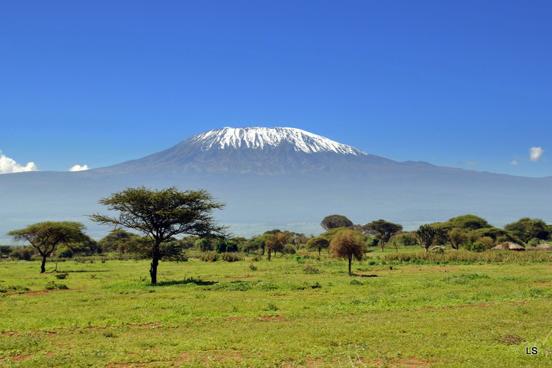 Kilimanjaro