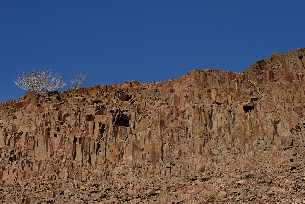 Organ Pipes