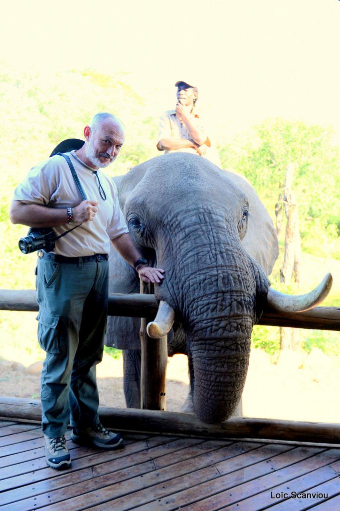 Elephant back safari (8)