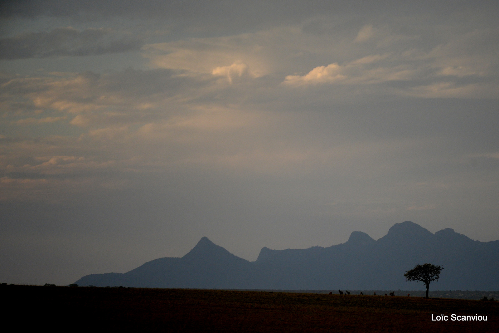 Kidepo Valley National Park (8)