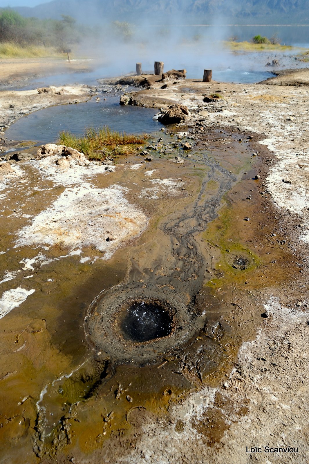 Lac Bogoria 2012 (10)