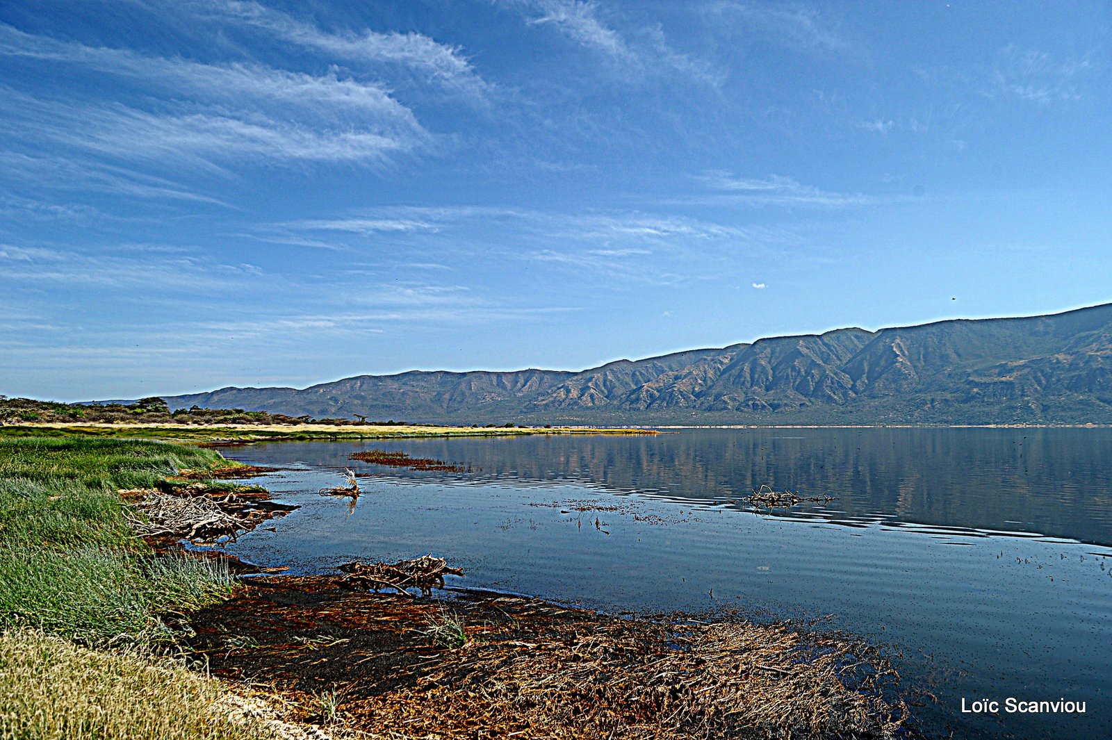 Lac Bogoria 2012 (14)