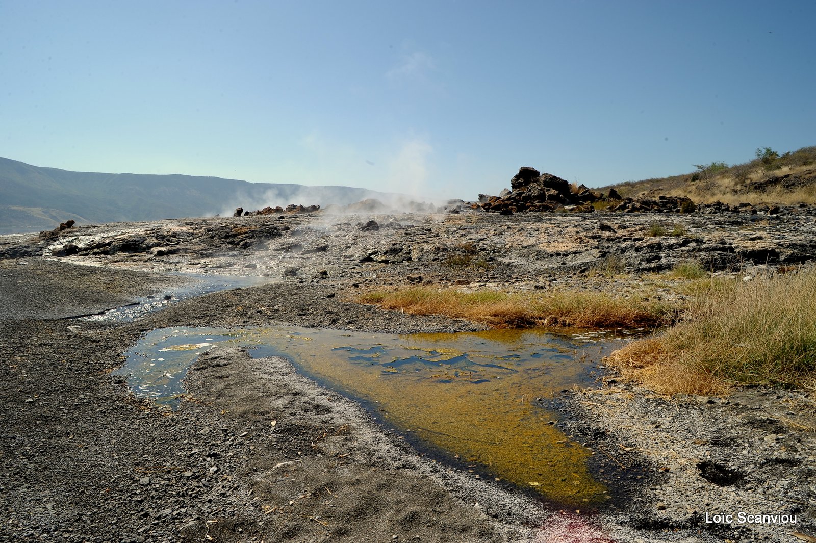 Lac Bogoria 2012 (24)