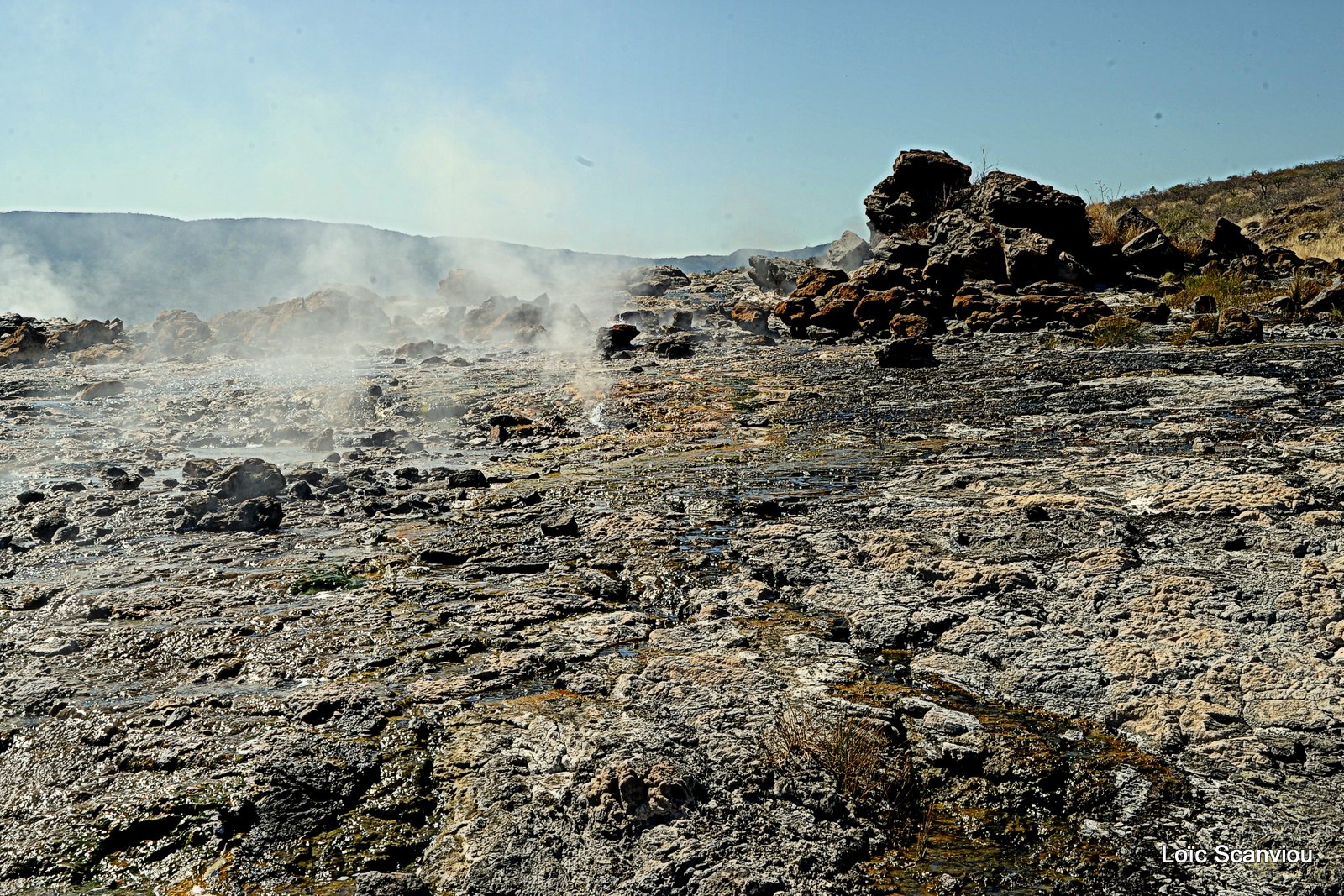 Lac Bogoria 2012 (26)