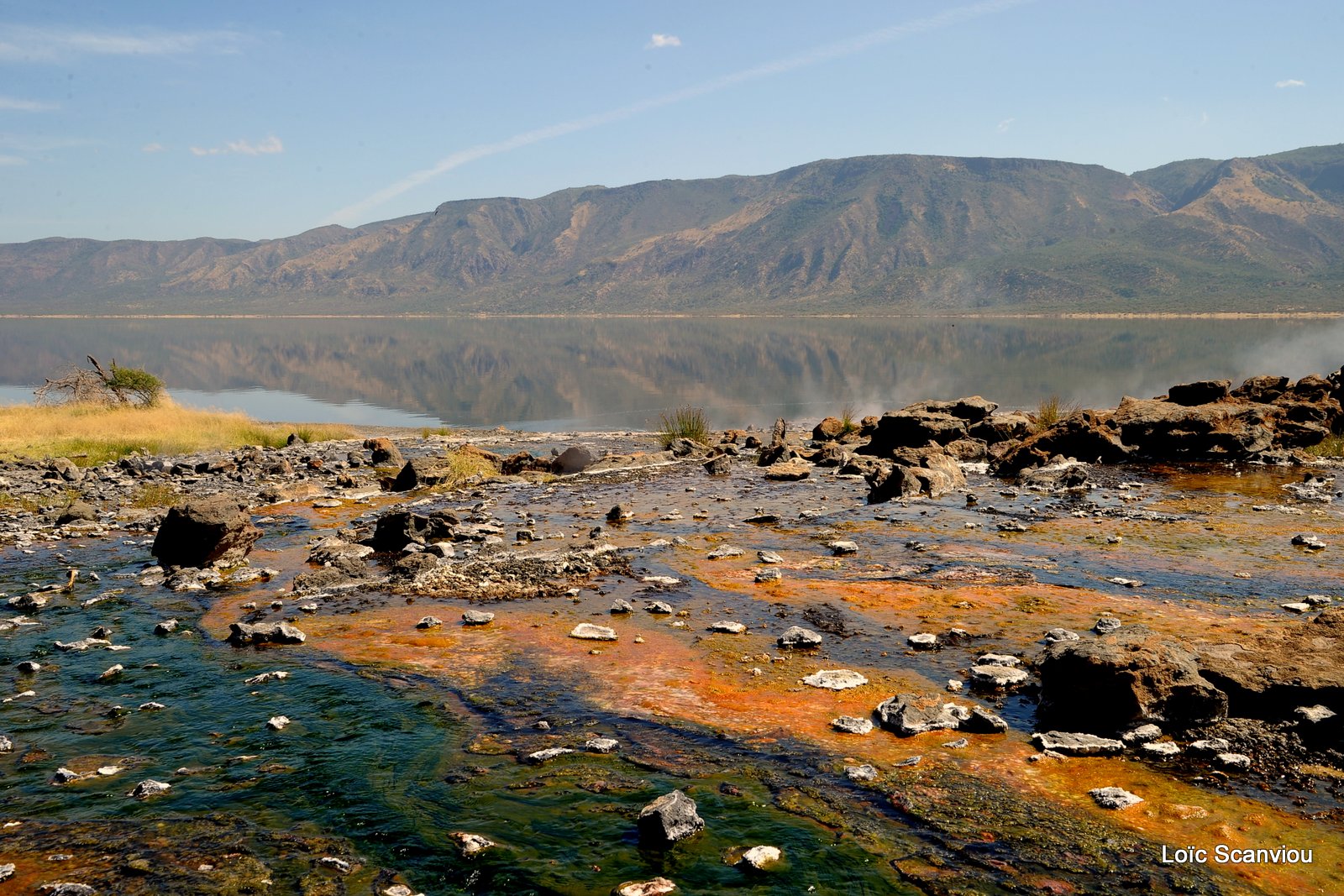 Lac Bogoria 2012 (31)