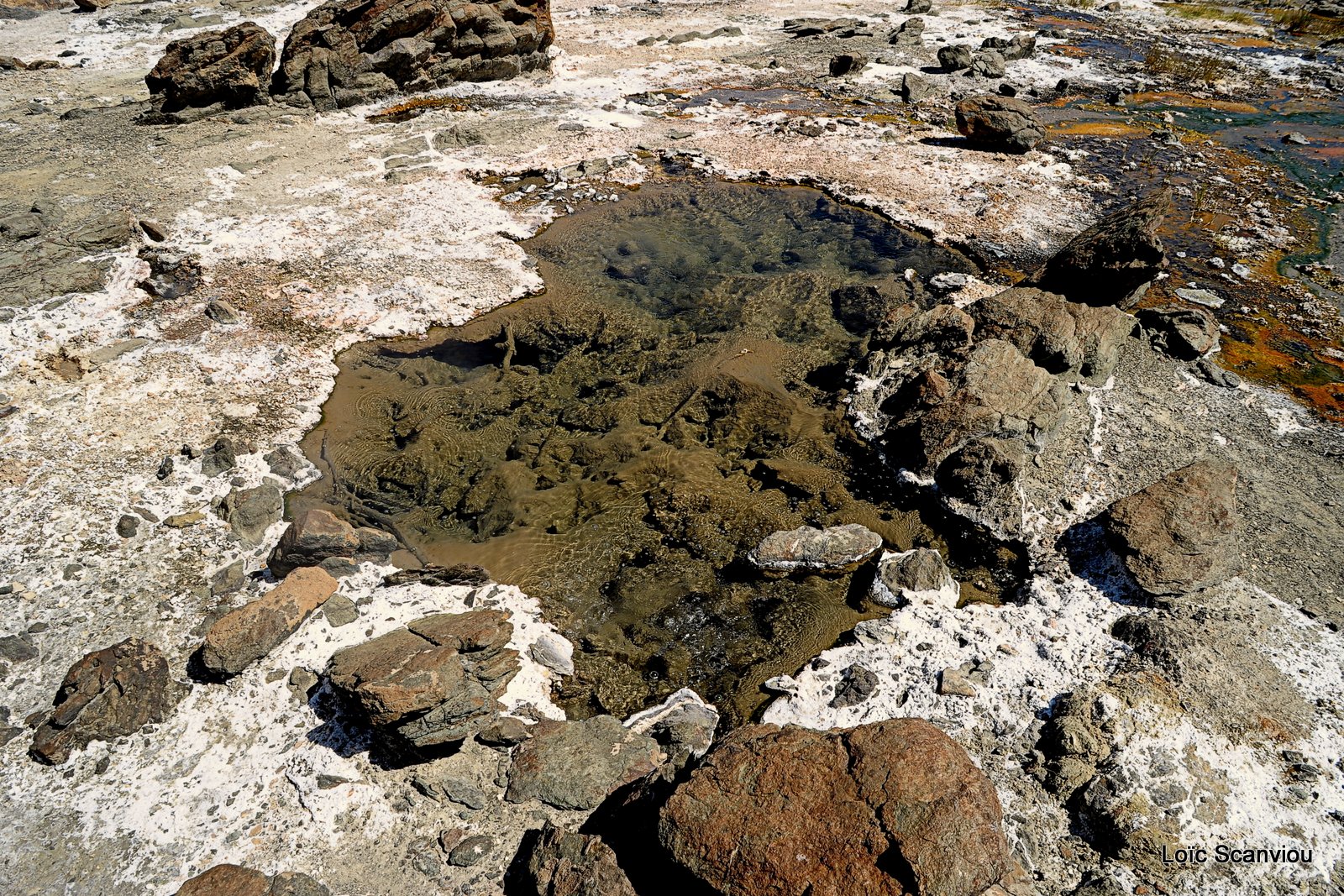 Lac Bogoria 2012 (32)