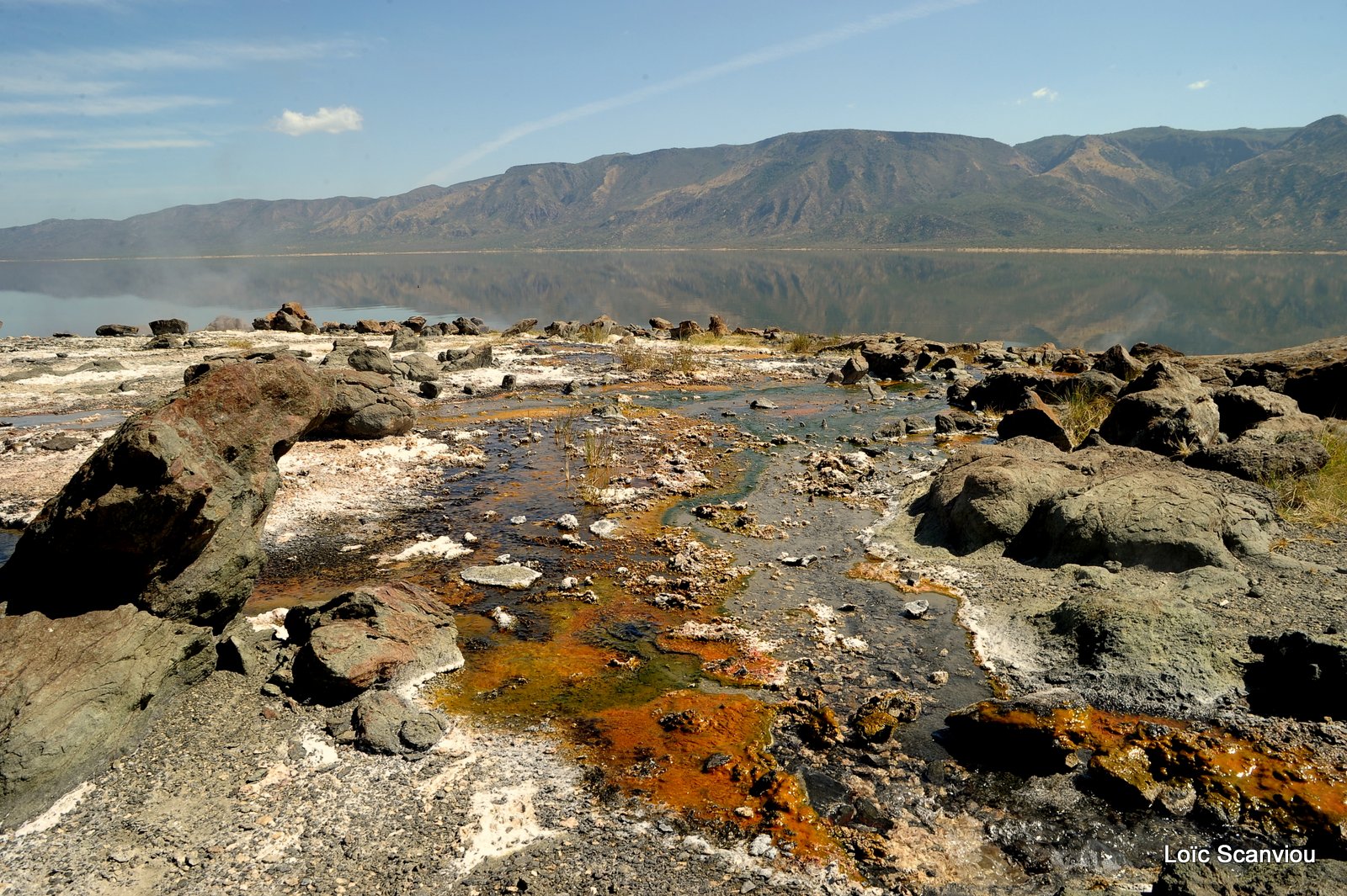 Lac Bogoria 2012 (33)