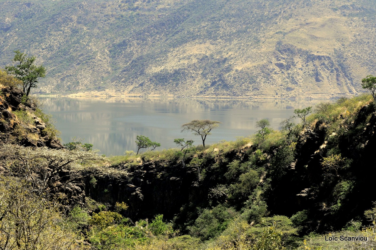 Lac Bogoria 2012 (38)