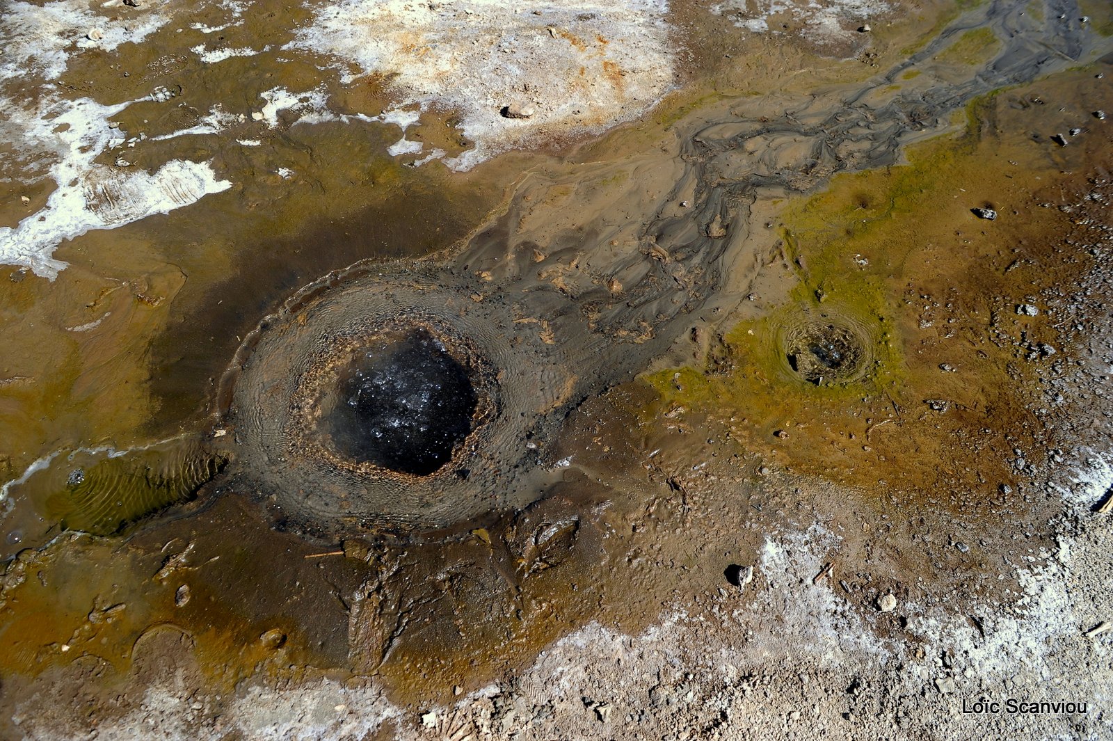 Lac Bogoria 2012 (9)