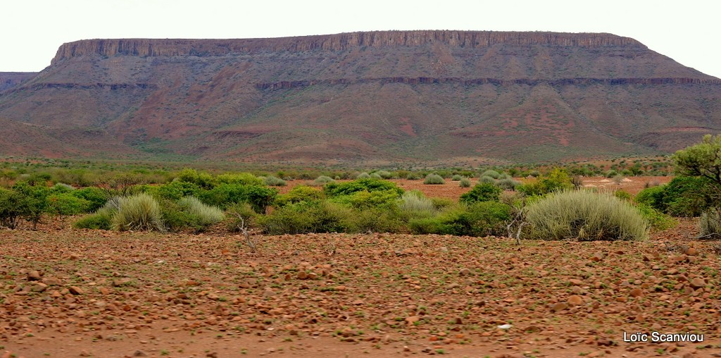 Plateau d etendeka 1 