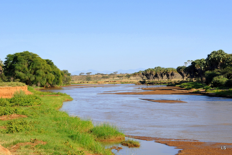 Samburu (1)