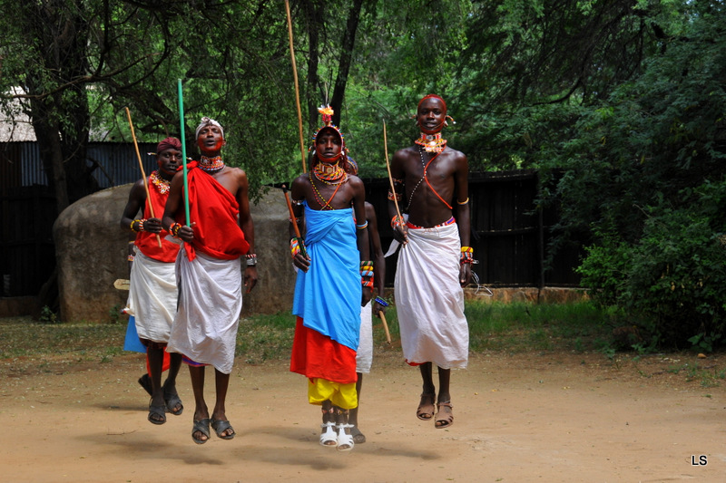 Danses Samburu/Samburu dances (11)