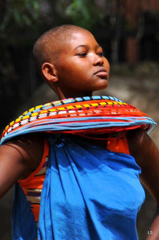 Danses Samburu/Samburu dances (3)