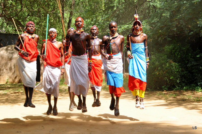 Danses Samburu/Samburu dances (4)