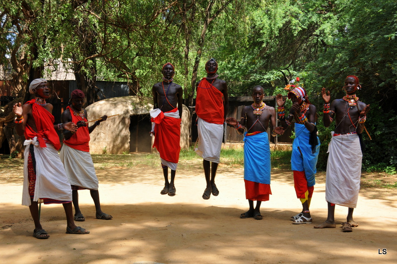 Danses Samburu/Samburu dances (7)