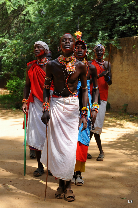 Danses Samburu/Samburu dances (8)