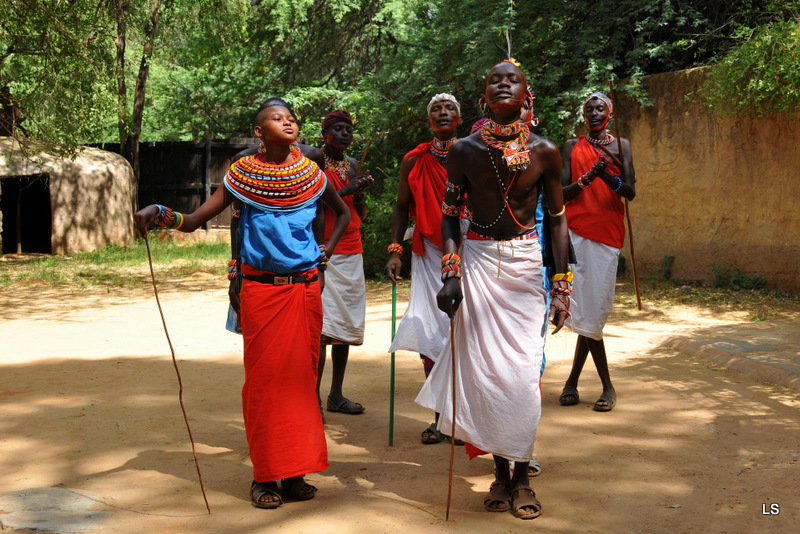 Danses Samburu/Samburu dances (9)