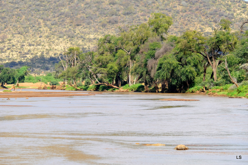 Samburu (3)