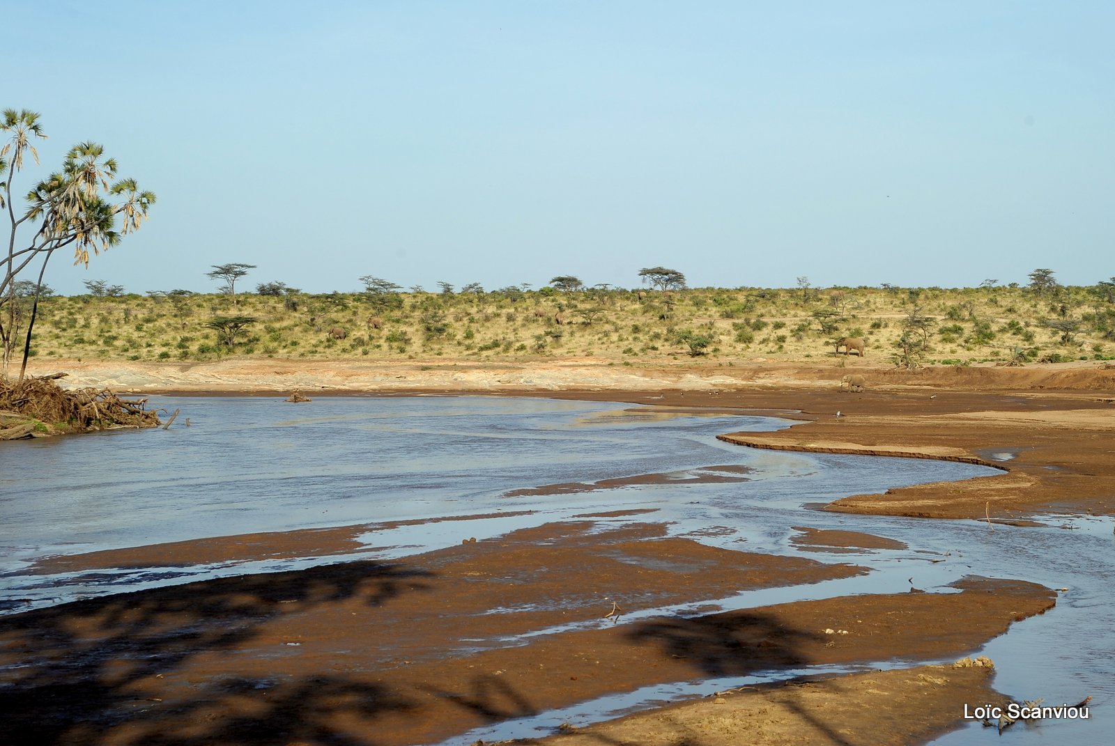 Samburu (6)