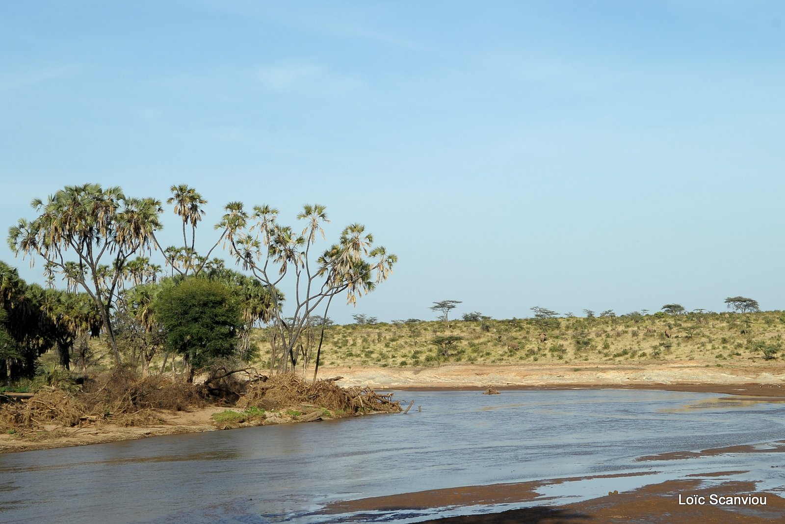 Samburu (7)