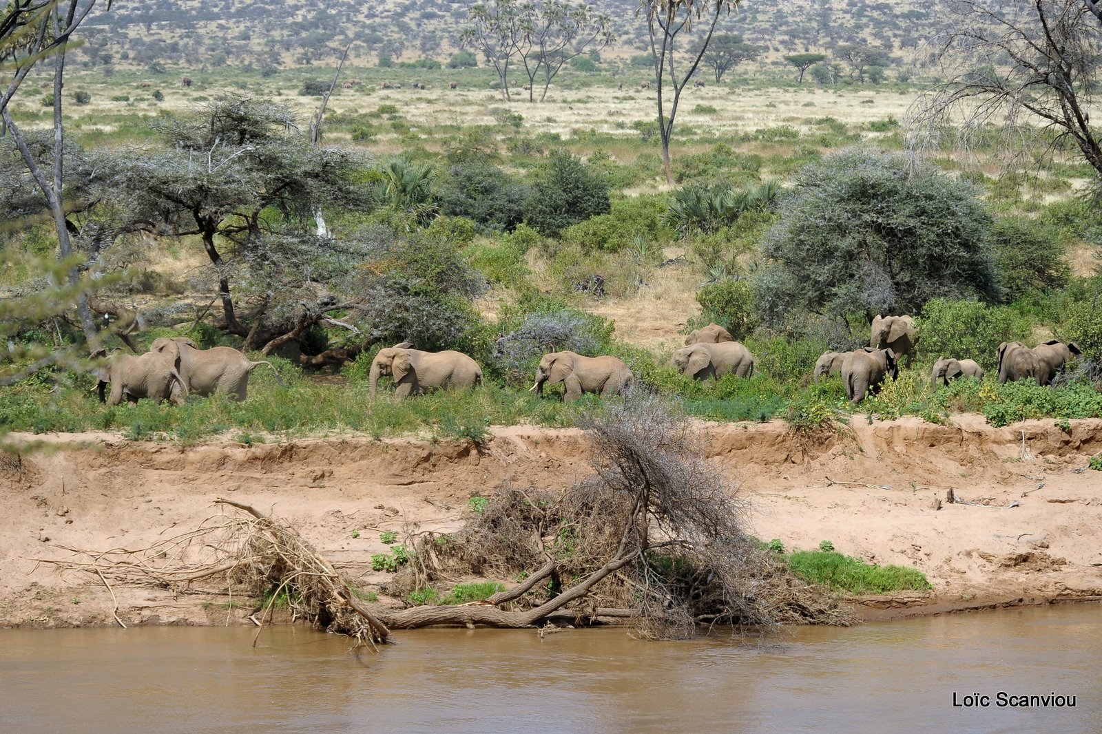 Samburu (9)