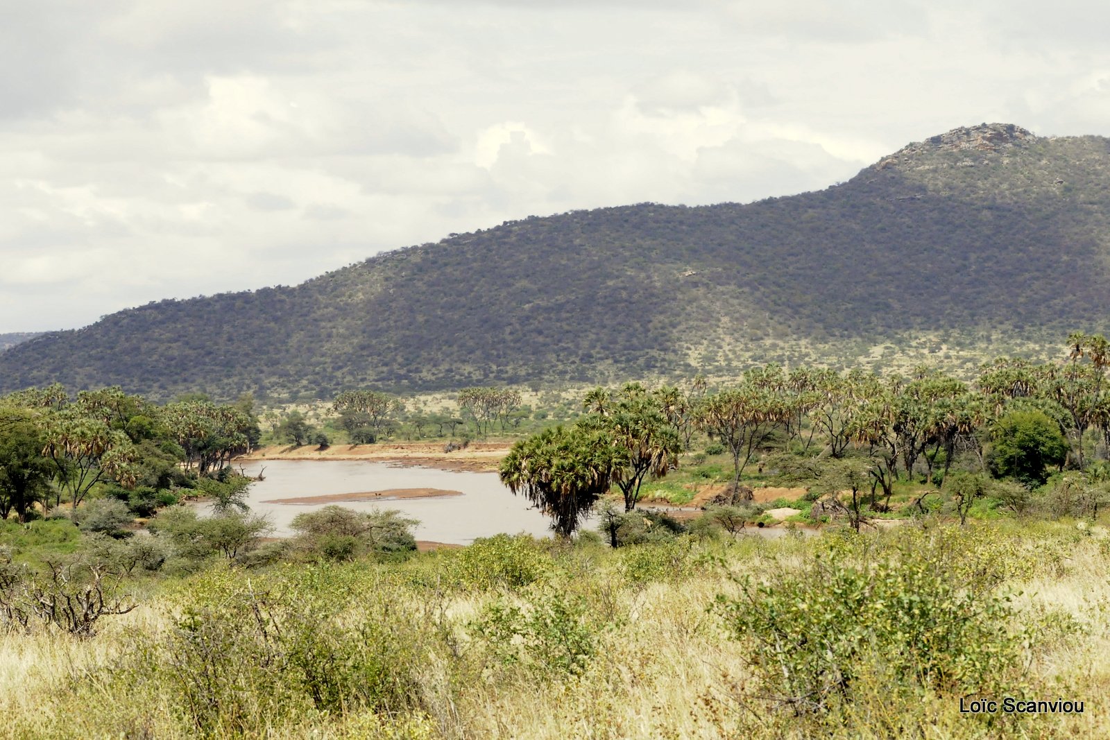 Samburu (1)