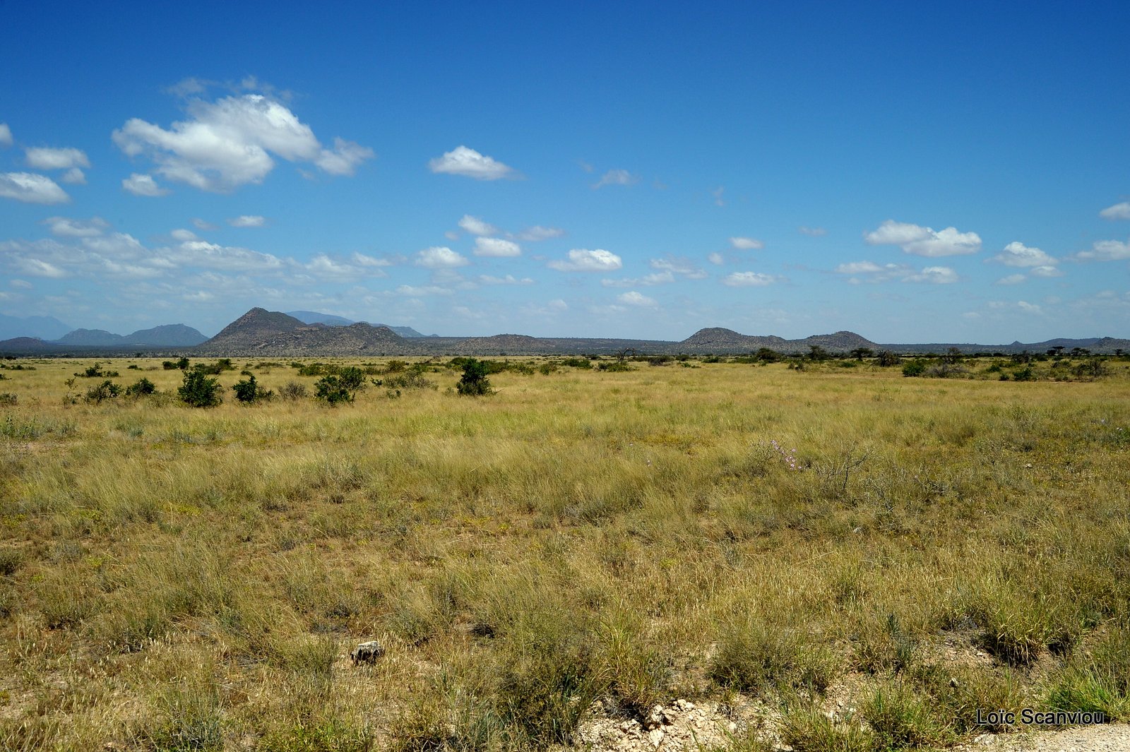 Samburu (4)