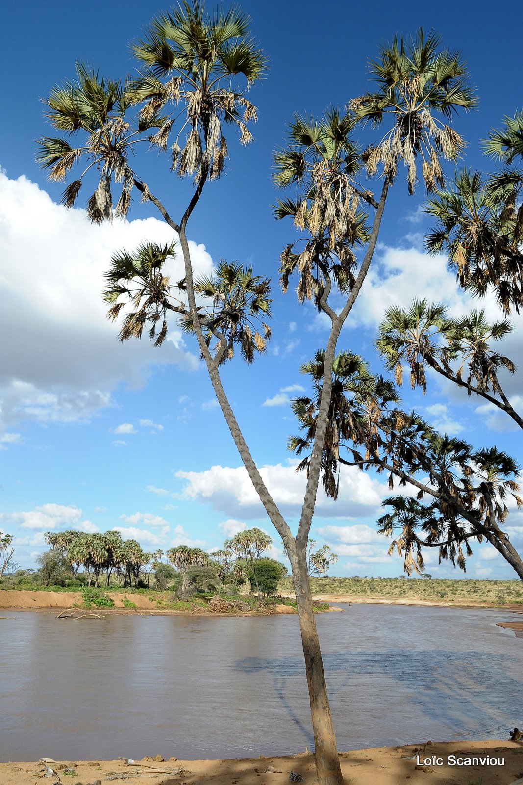 Samburu (9)