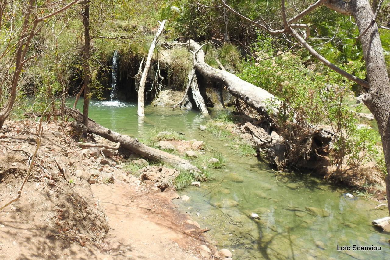 Sources d'eau chaude (1)