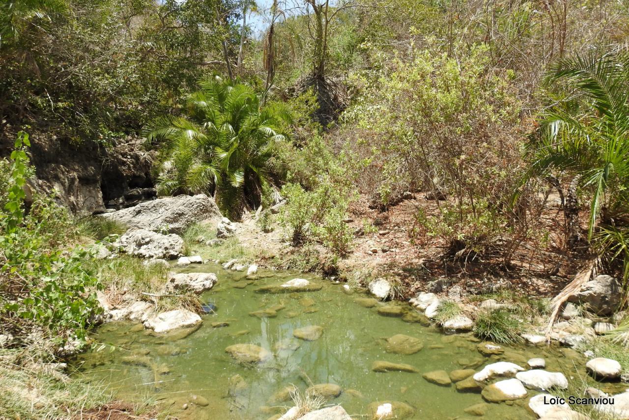 Sources d'eau chaude (2)