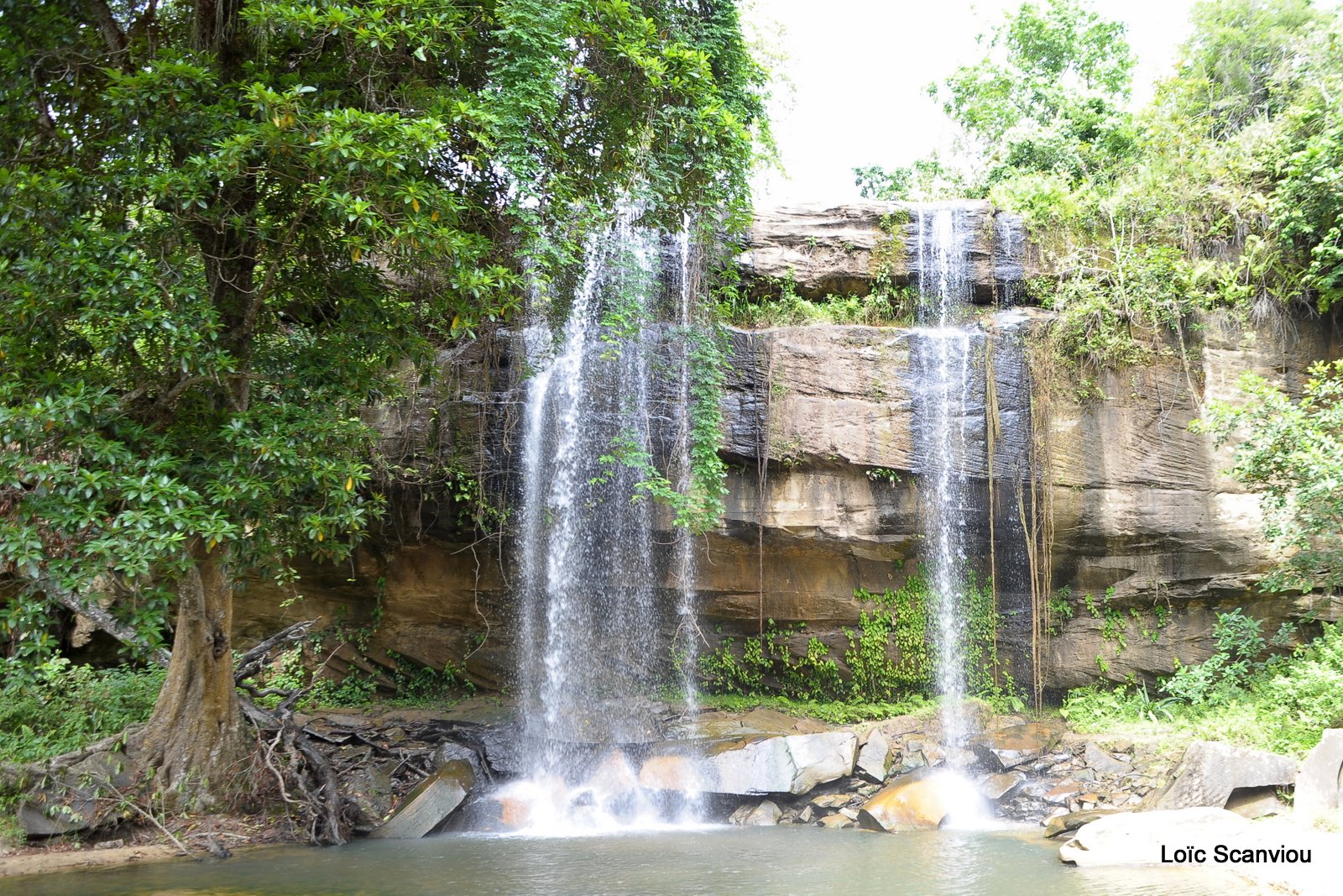 Chutes Sheldrick/Sheldrick's Falls (1)